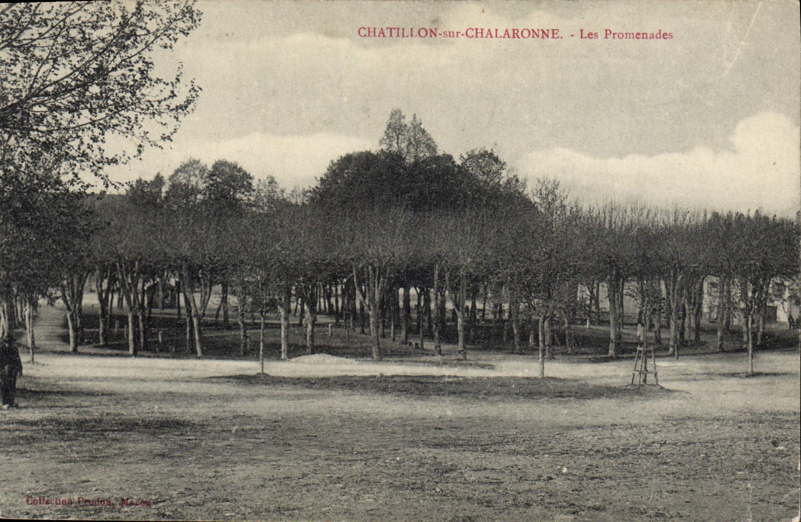 CPA Chatillon sur Chalaronne les Promenades 
