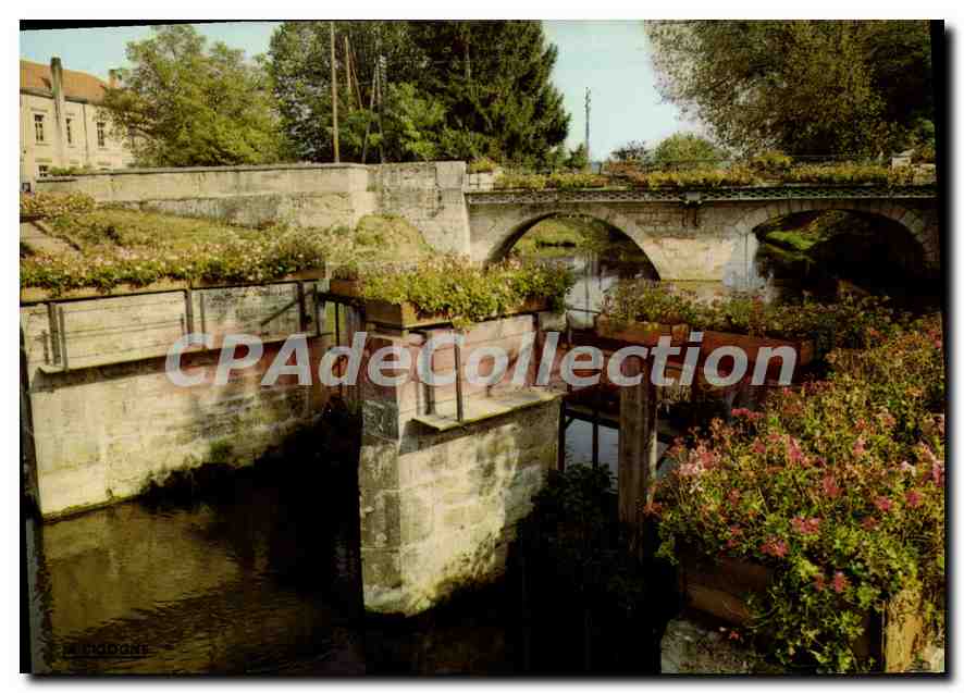 CPA Chatillon sur Chalaronne les rives fleuries de la Chalaronne 