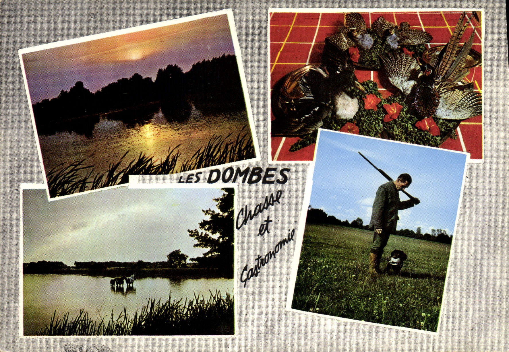 Les Dombes — Chasse et Gastronomie — Éditions Hachette