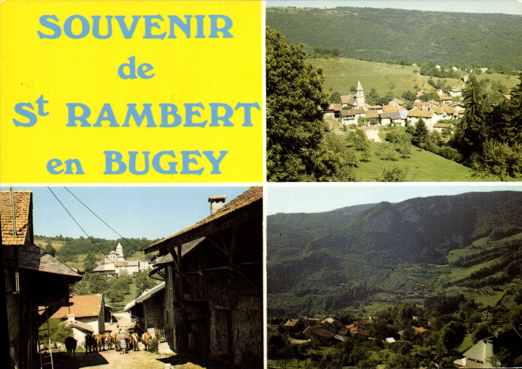 St-Rambert-en-Bugey — vue panoramique et village — S.A.D. Lyon