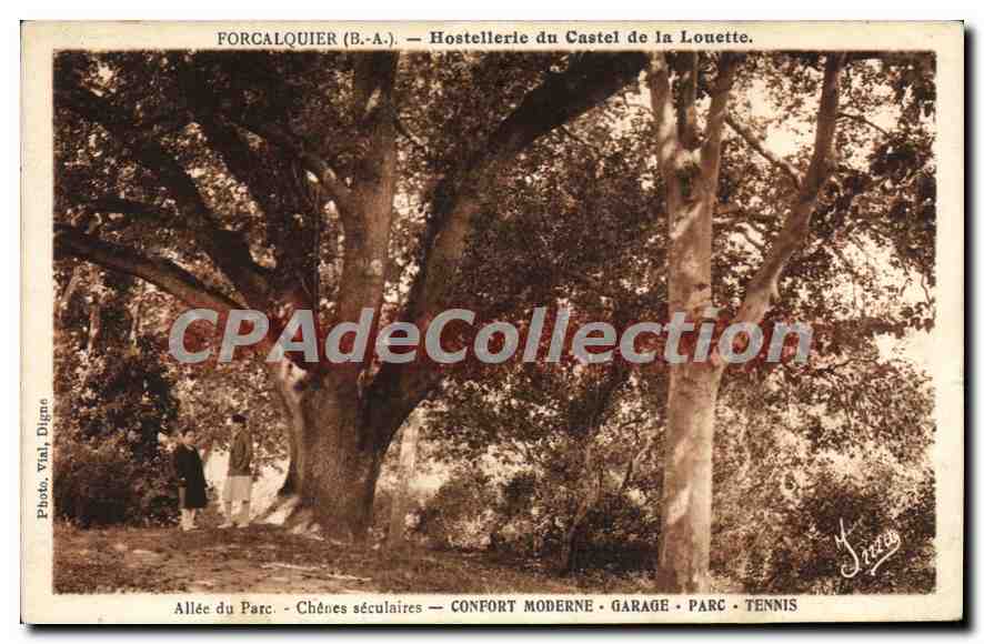 CPA Forcalquier B A Hostellerle du Castel de la Louette Alle du Parc Chenes seculares Confort Modern