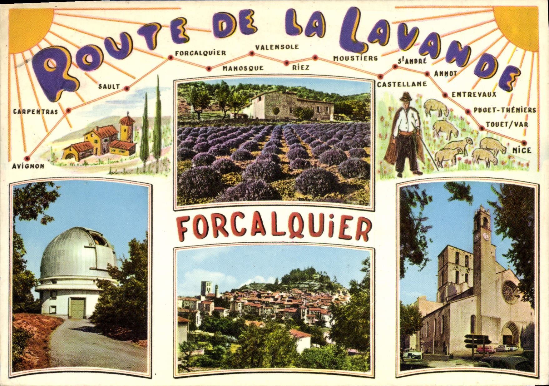 CPA Forcalquier Alpes de Haute Provence 