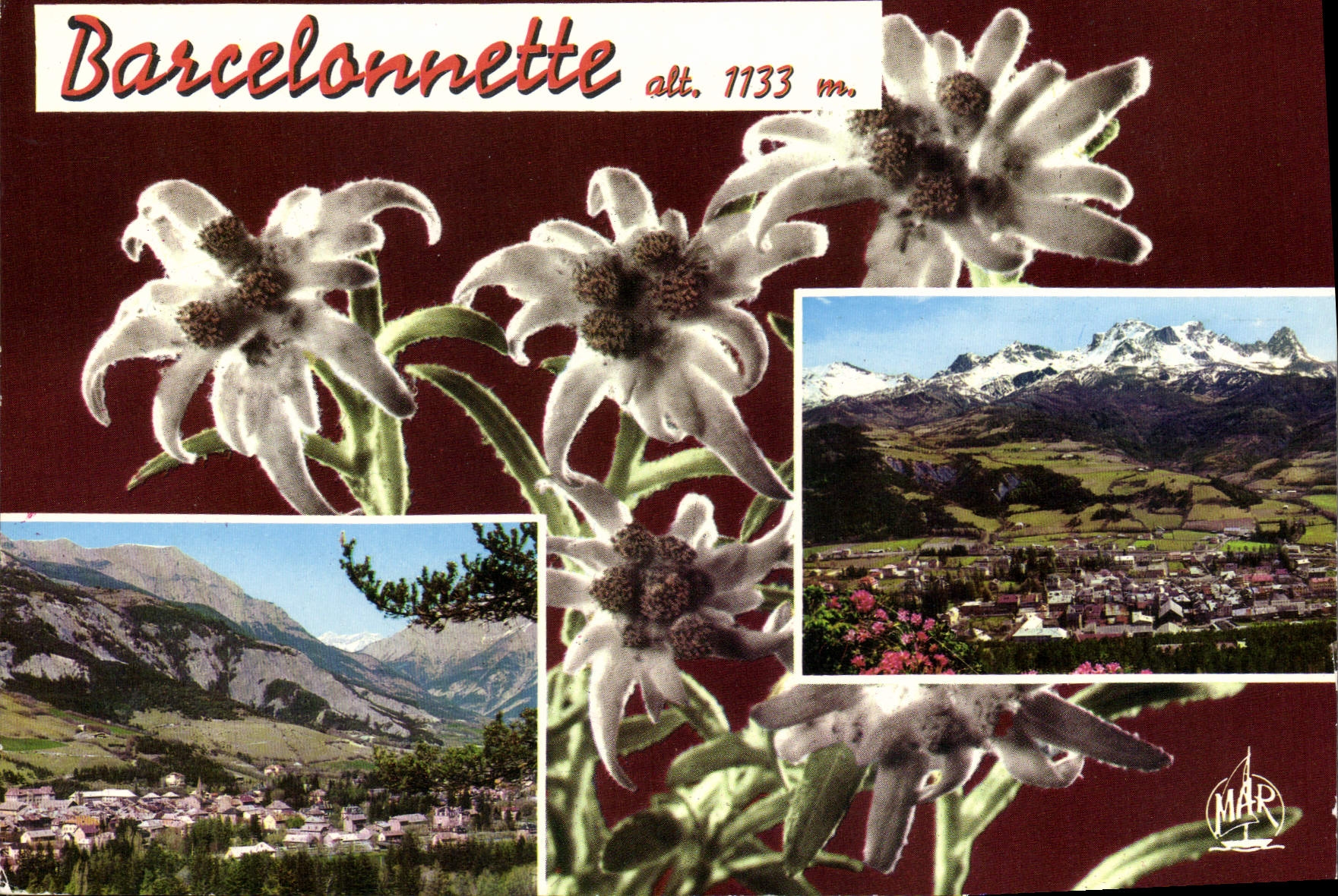 Barcelonnette alt. 1133 m. — vue panoramique et fleurs d’alpes — éditeur MAR