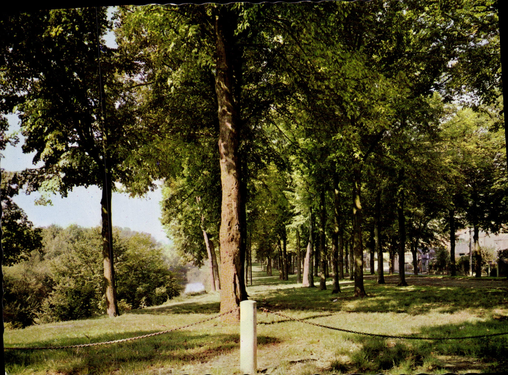 CPA Rethel Ardennes Promenade des Isles 