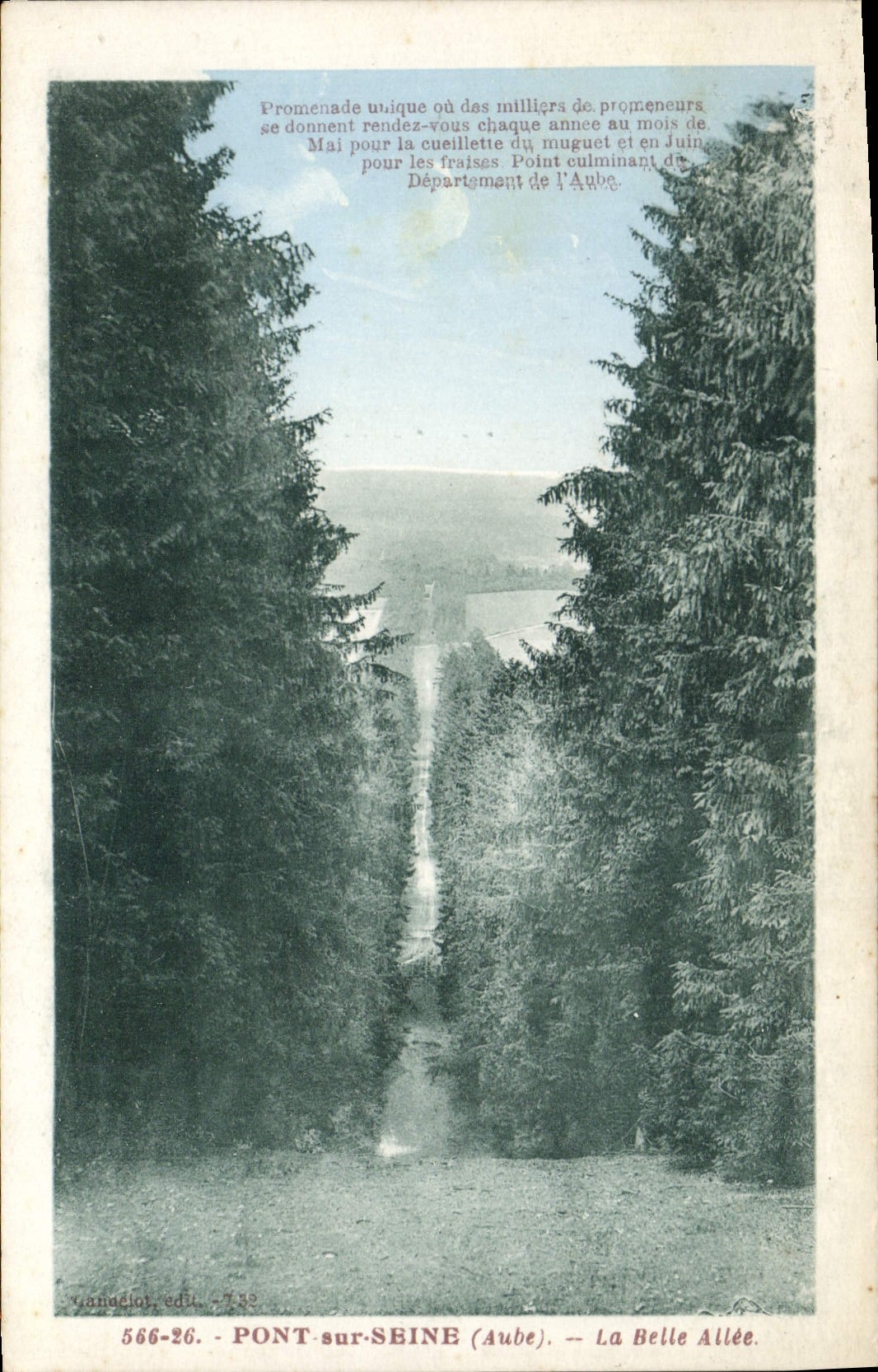 CPA Pont sur Seine Aube La Bella Aube 