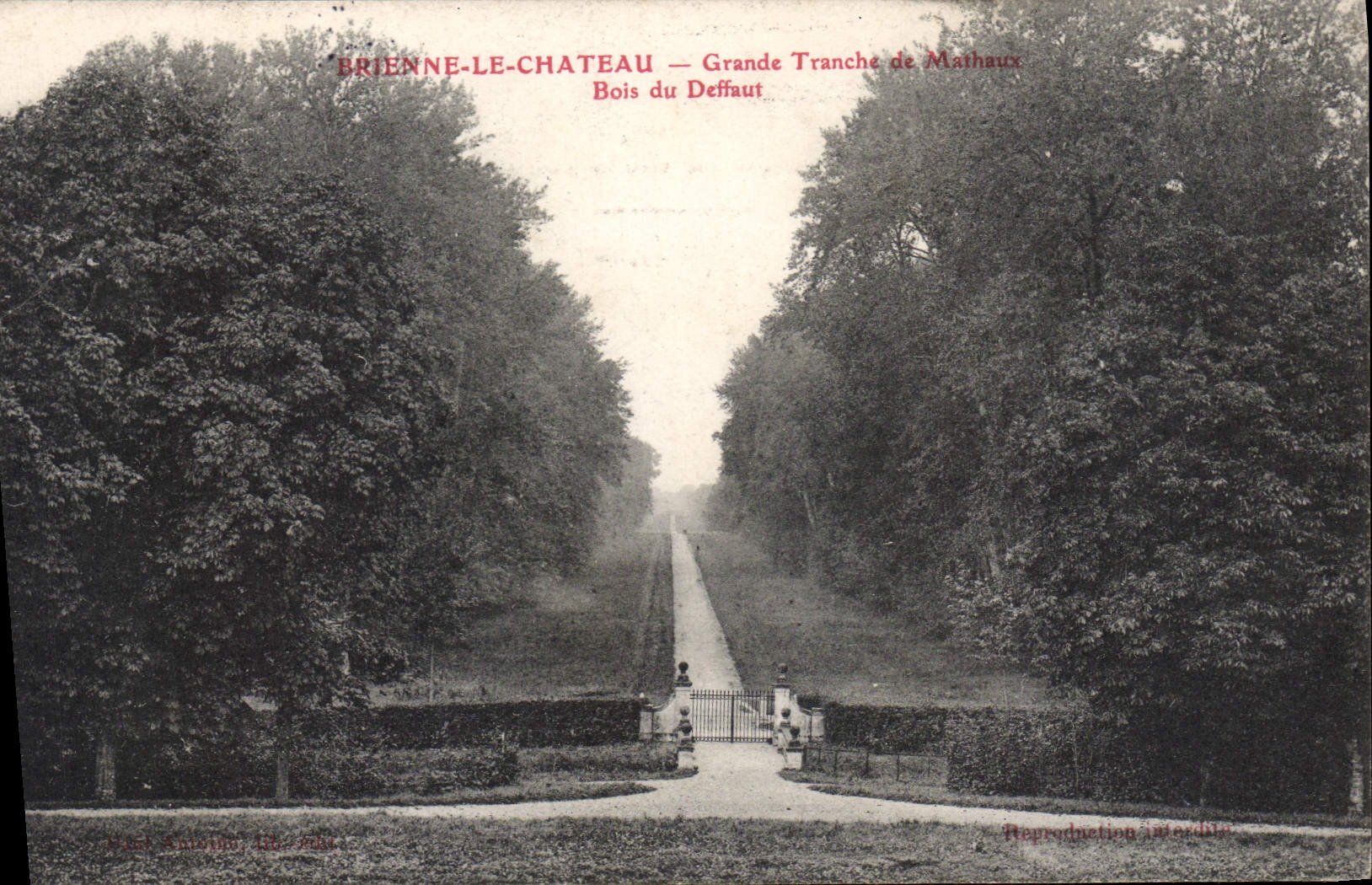 CPA Brienne le Chateau Grande Tranche de Maihaux Bois du Deffaut 