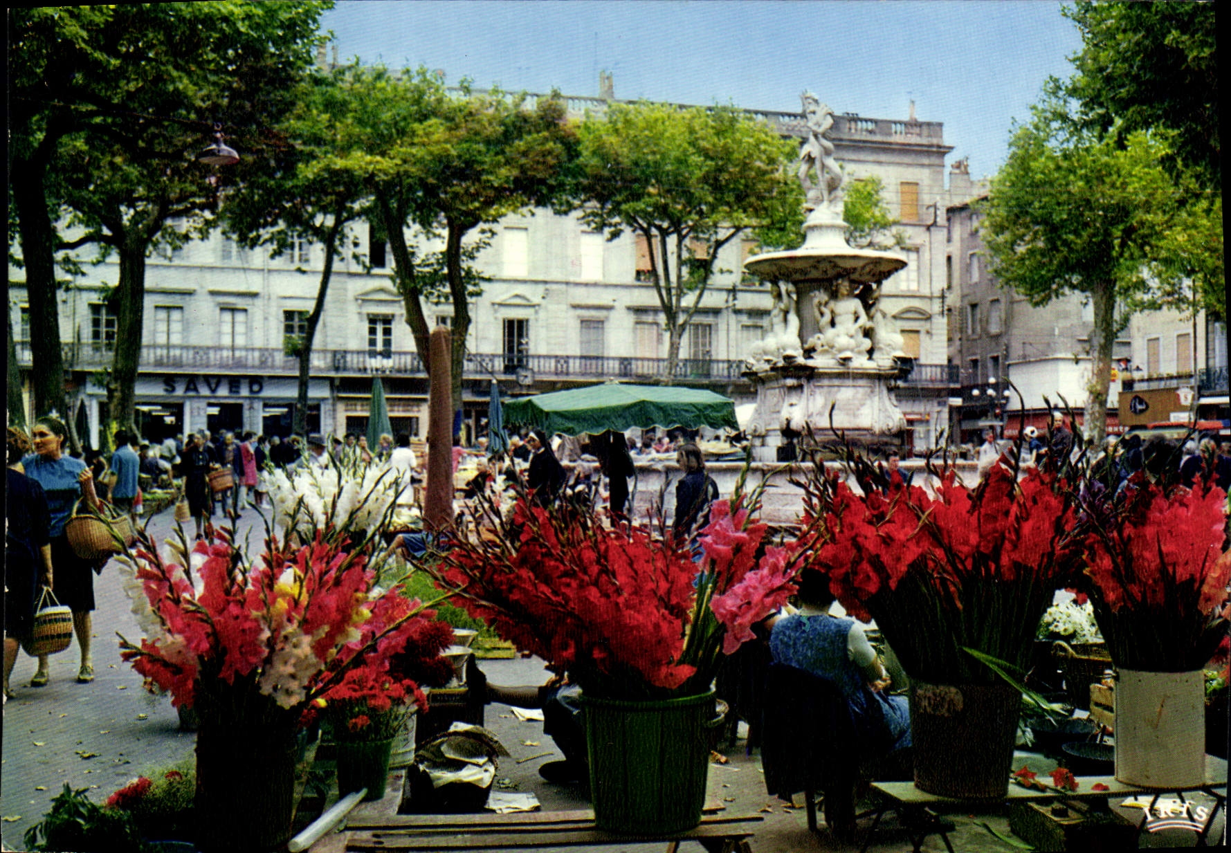 Carcassonne (Aude) — Place Carnot et fontaine de Neptune (1770) — Éditions Limoges