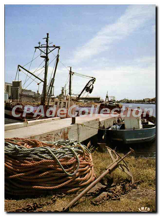 CPA Port la Nouvelle Aude Le port de peche 
