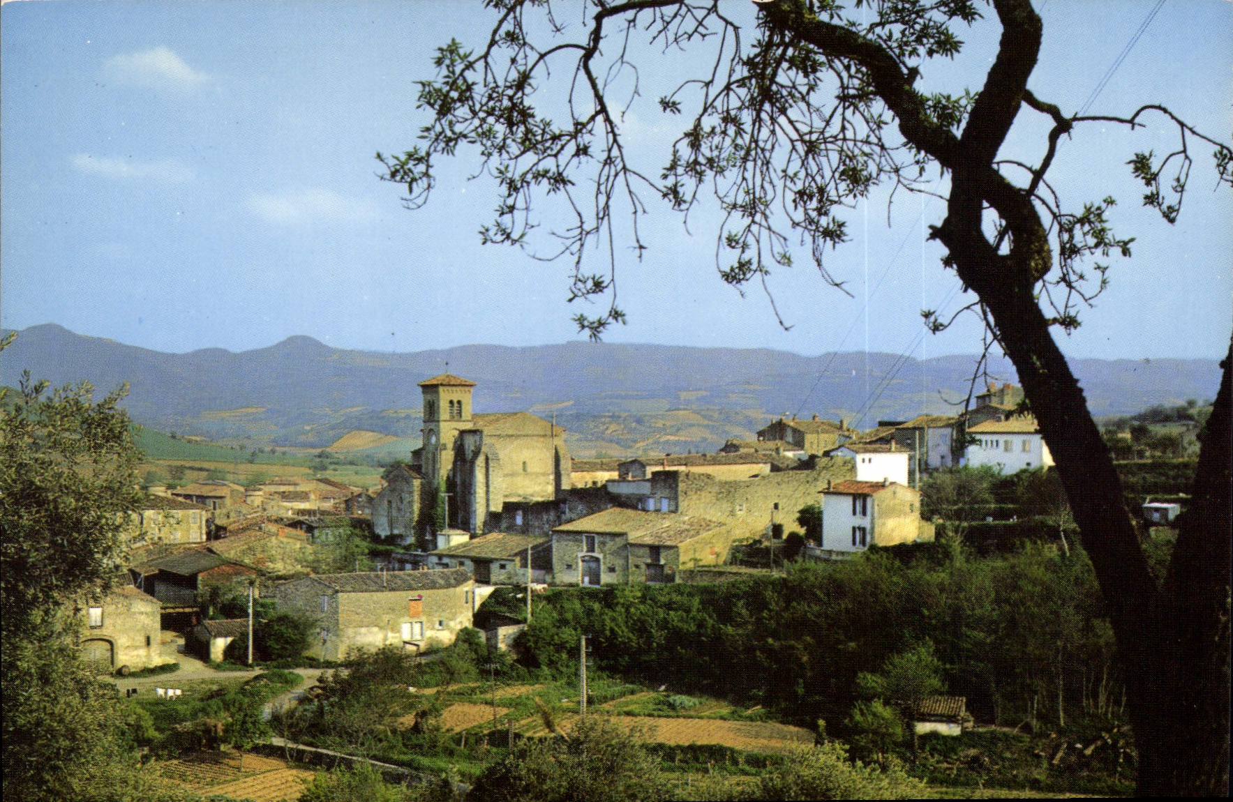 CPA Saint Hilaire Aude Vue generale 