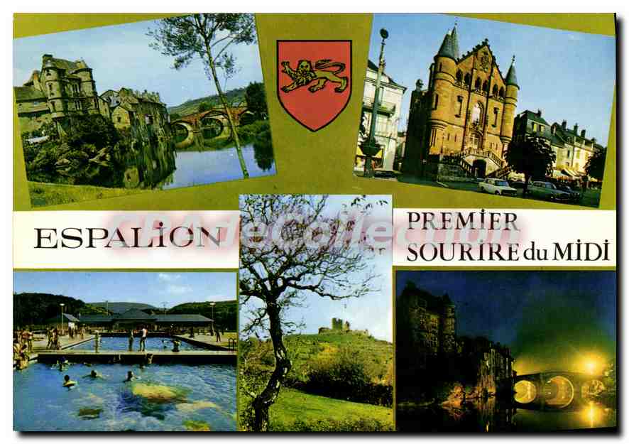 CPA Espalion Aveyron Le Vieux Palais et le Pont rouge 