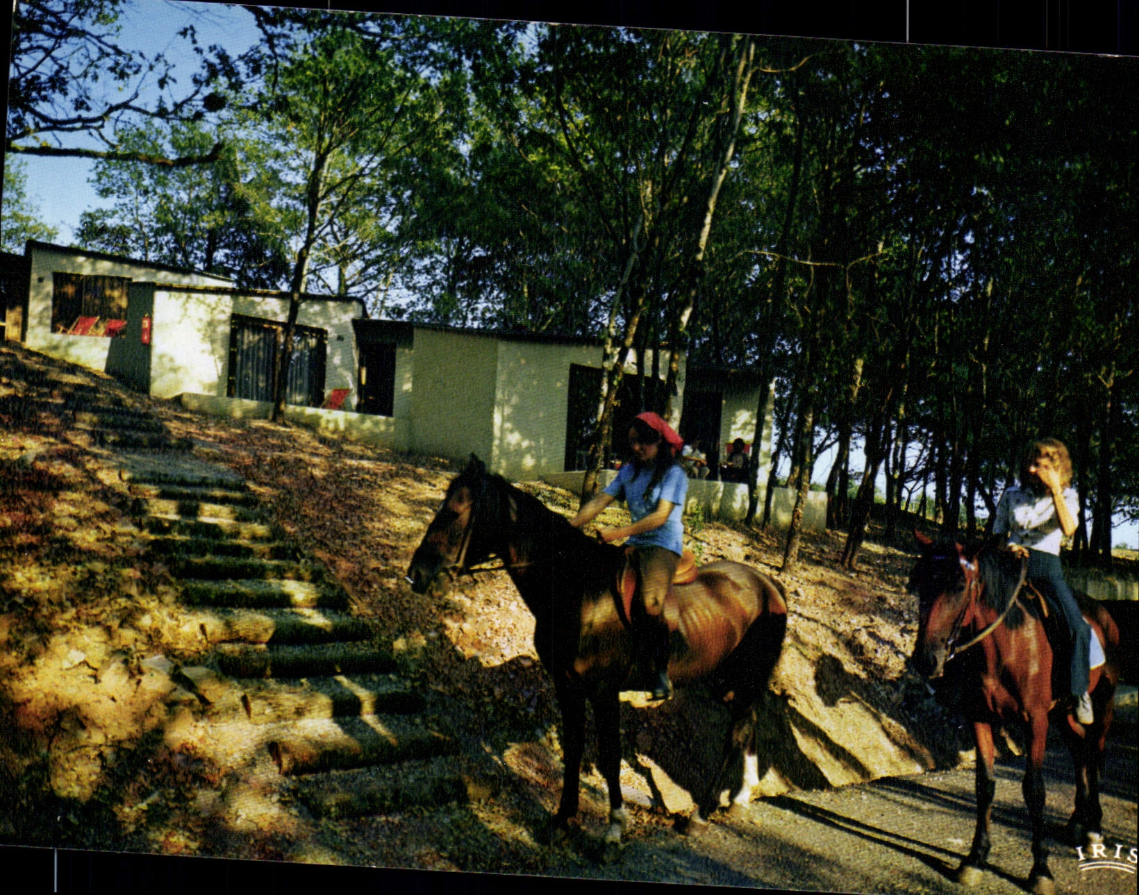 CPA Najac Aveyron Prexotel residence de vacances Les studios Depart pour une randonnee equestre 