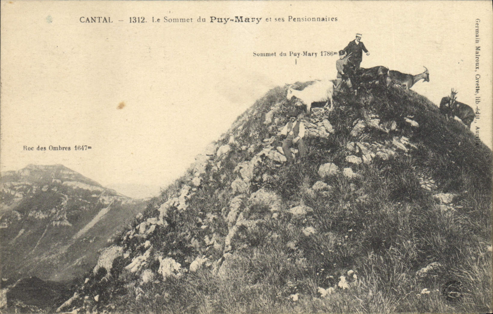 CPA Cantal Le Sommet du Puy Mary et ses Pensionnaires 