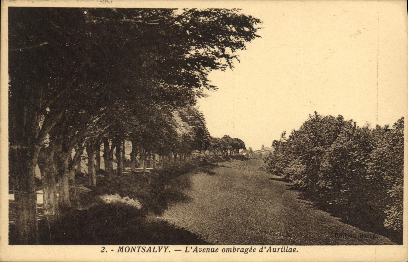 CPA Montsalvy L'Avenue ombragee d'Aurillac 