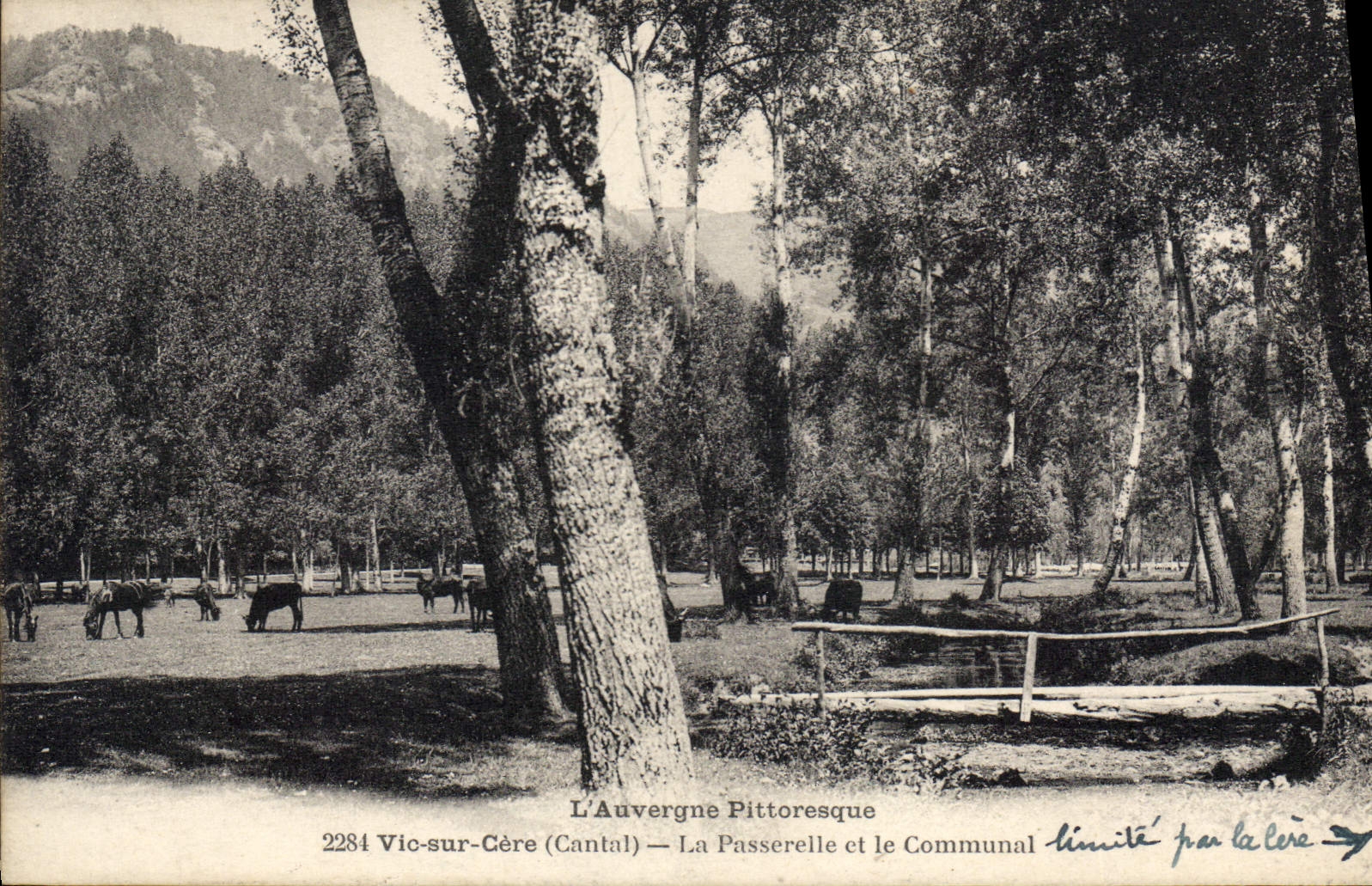CPA L'Auvergne Pittoresque Vic sur Cere Cantal La Passerelle et le Communal 