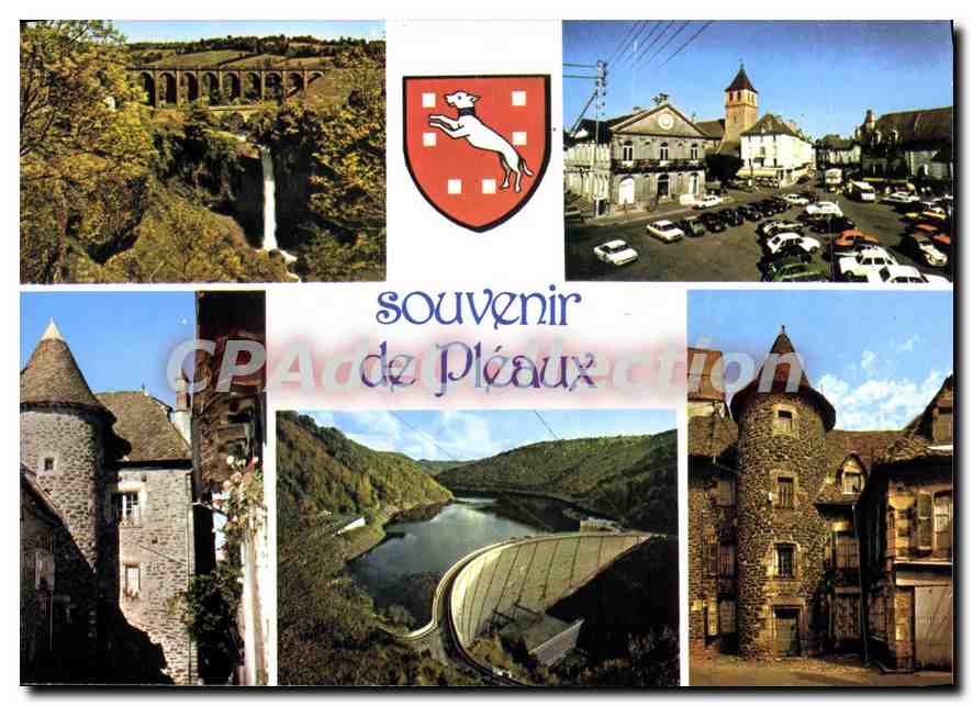CPA Souvenir de Pleaux 