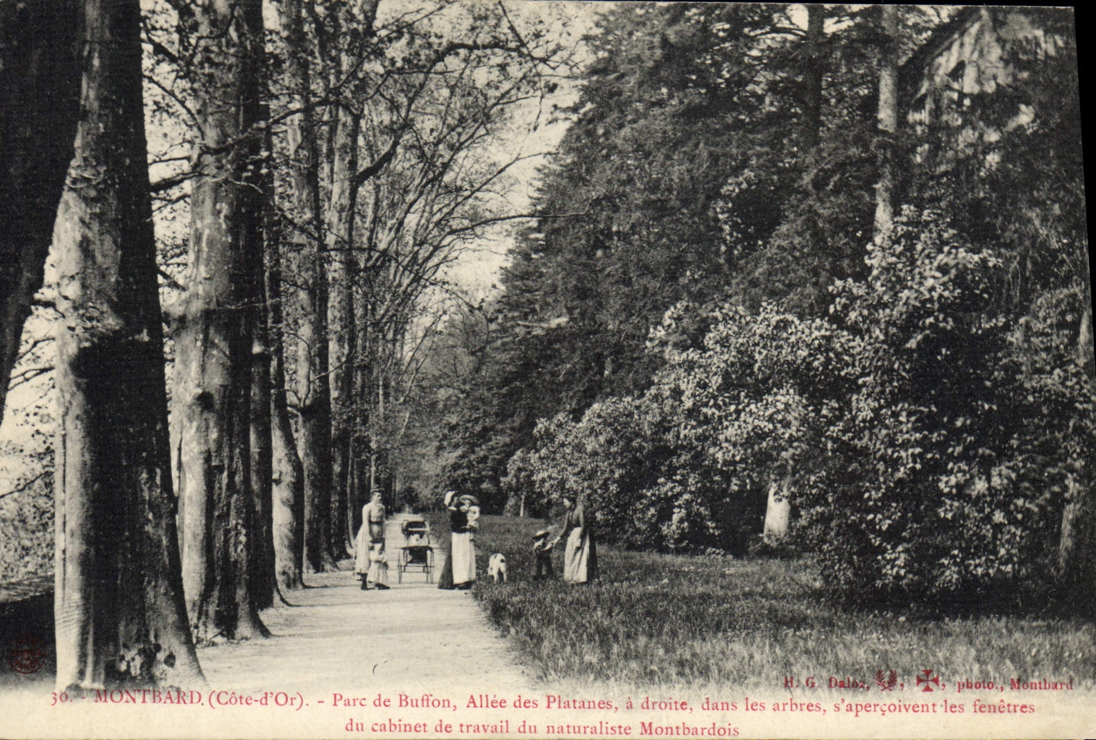 Montbard (Côte-d'Or) - Parc de Buffon, Allée des Platanes, cabinet du naturaliste Montbardois