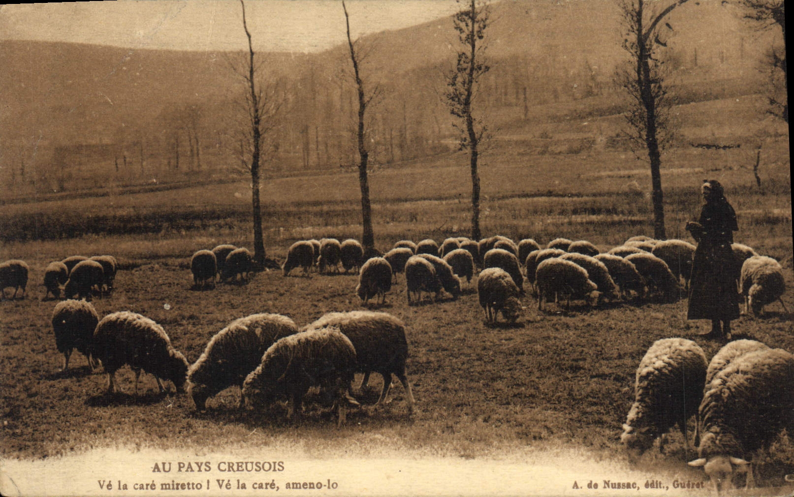 Pays Creusois — Moutons paissant dans un champ — A. de Nussac, édit., Guéret
