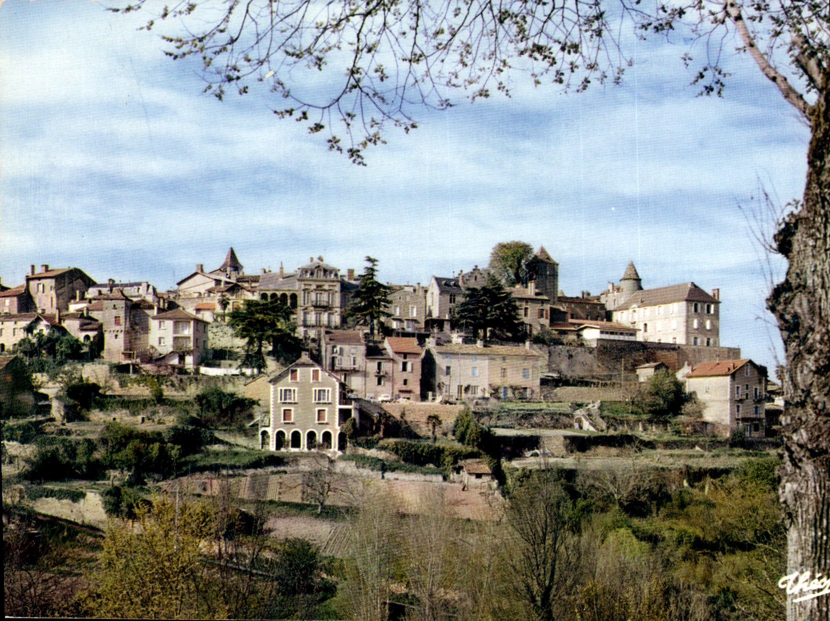 CPSM BELVES vue générale
