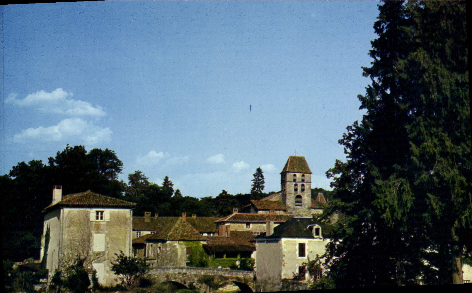 CPSM SAINT-JEAN DE COLE