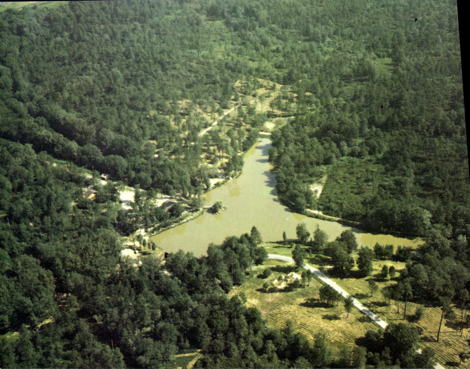 CPSM SAINT-PIERRE-d'EYRAUD étang de Radelou