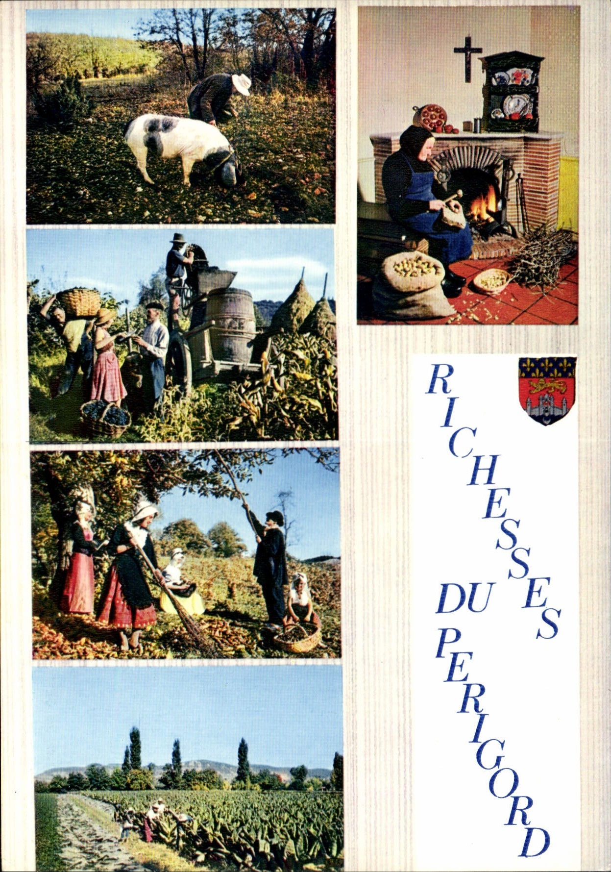 Richesses du Périgord — Éditions Moderne, Limoges, n° A 24/162