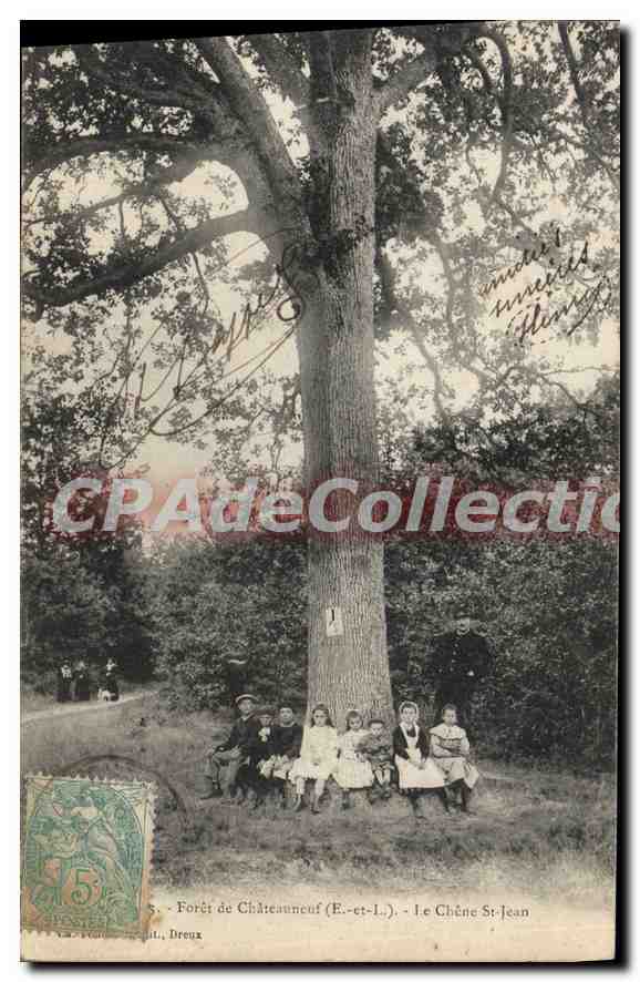 CPA Foret De Chateauneuf Le Chene St Jean