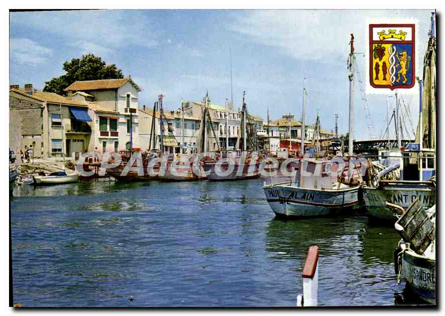 CPSM Le Grau Du Roi Le Canal Rive Droite