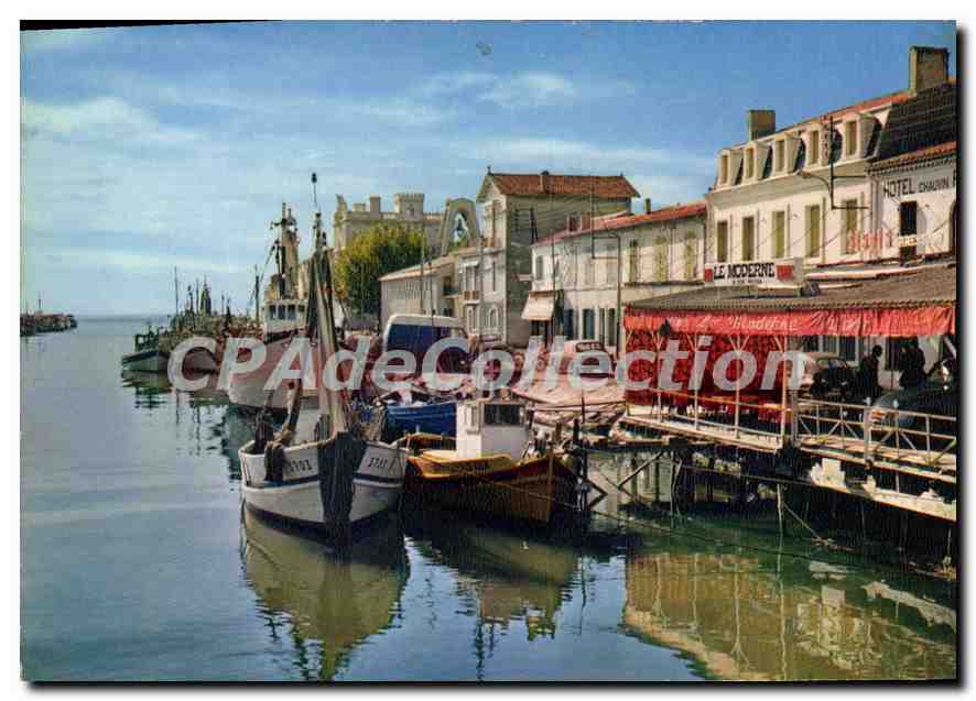 CPSM Le Grau Du Roi La Rive Droite Le Canal