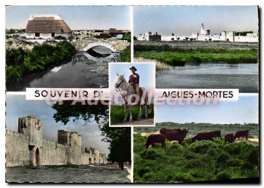 Aigues-Mortes — Souvenir d'Aigues-Mortes — Éditions S.E.P.T. - Anverso