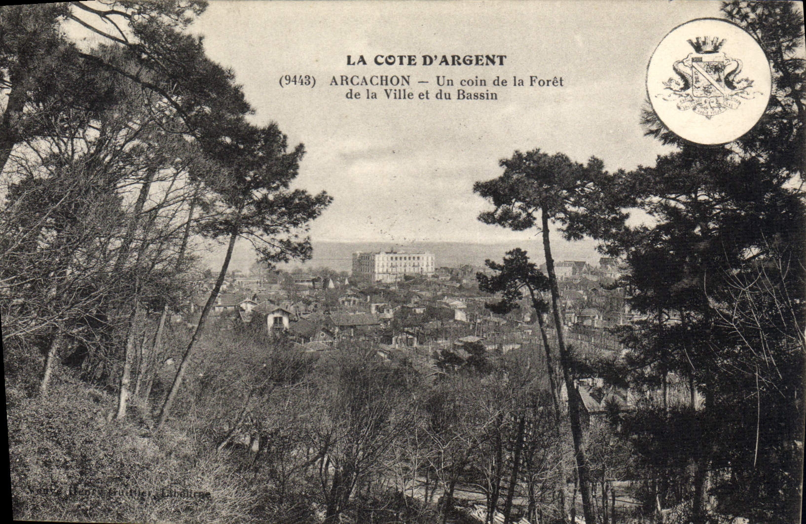 Arcachon — La Côte d'Argent — Vue de la ville et du bassin depuis la forêt