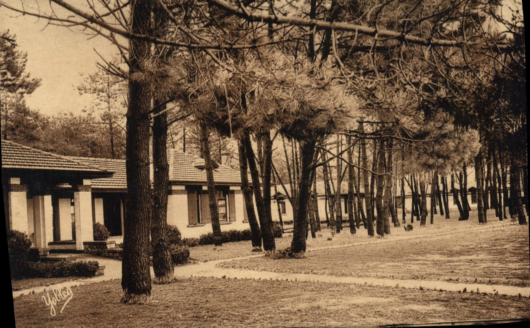 Ares (Gironde) — L'Aérium — Phot. Marcel Delboy