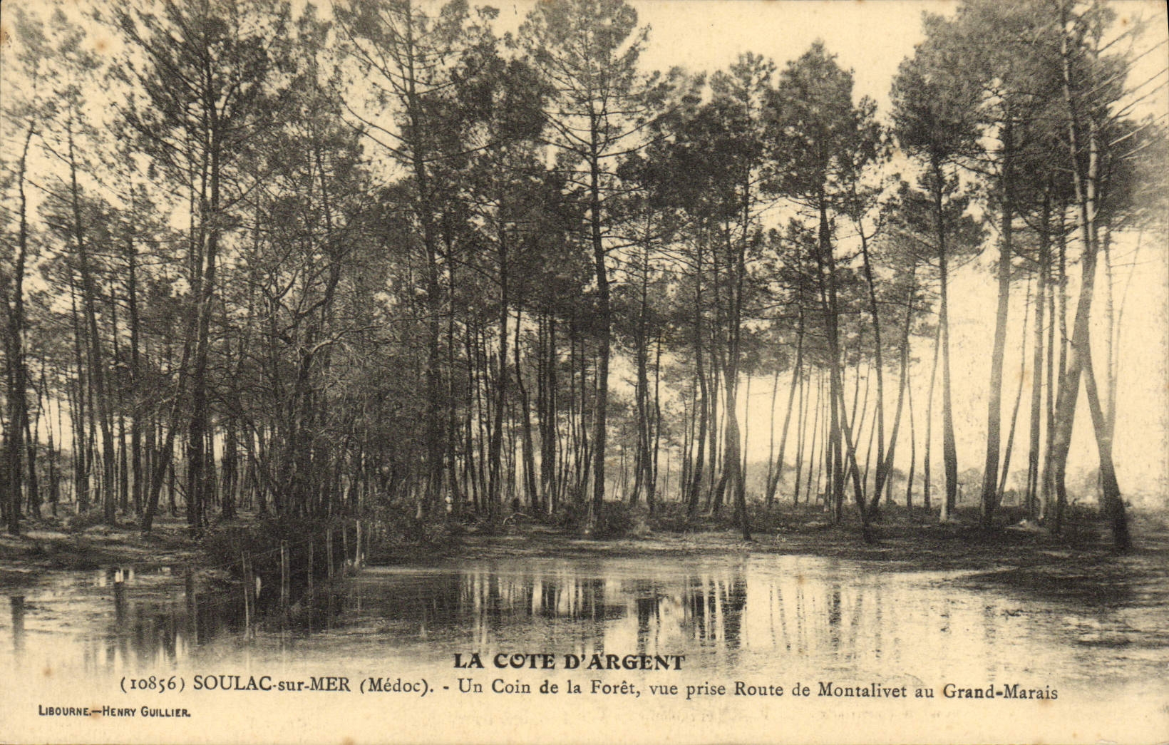 La Côte d'Argent — Vista de la selva cerca de Montalivet — Libourne, Henry Guillier, n°10856