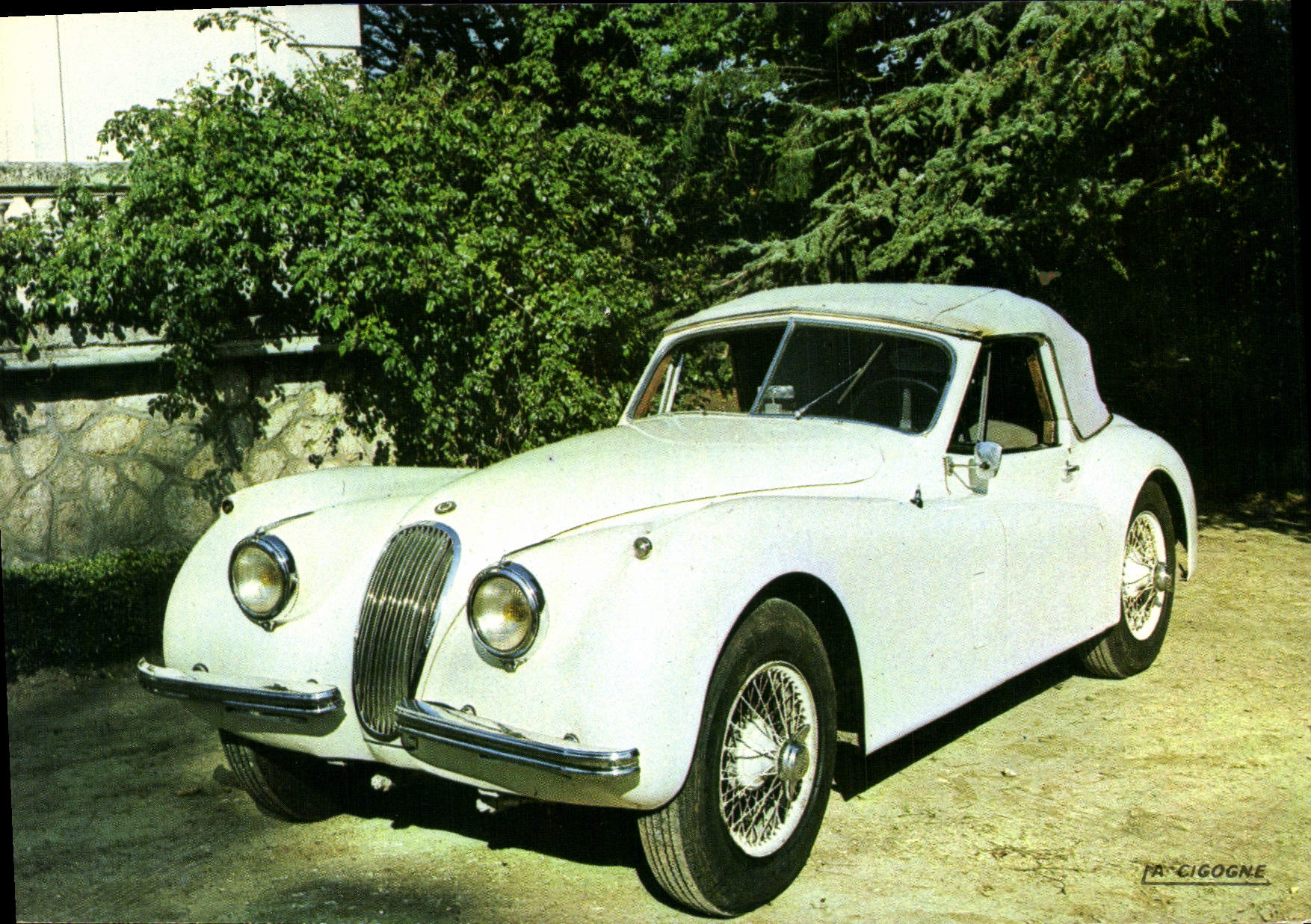 Halbmoderne Ansichtskarte Jaguar Competition XK 120 Automobil-Museum Saint Christoly de Blaye Fahrräder Motorräder Lucien