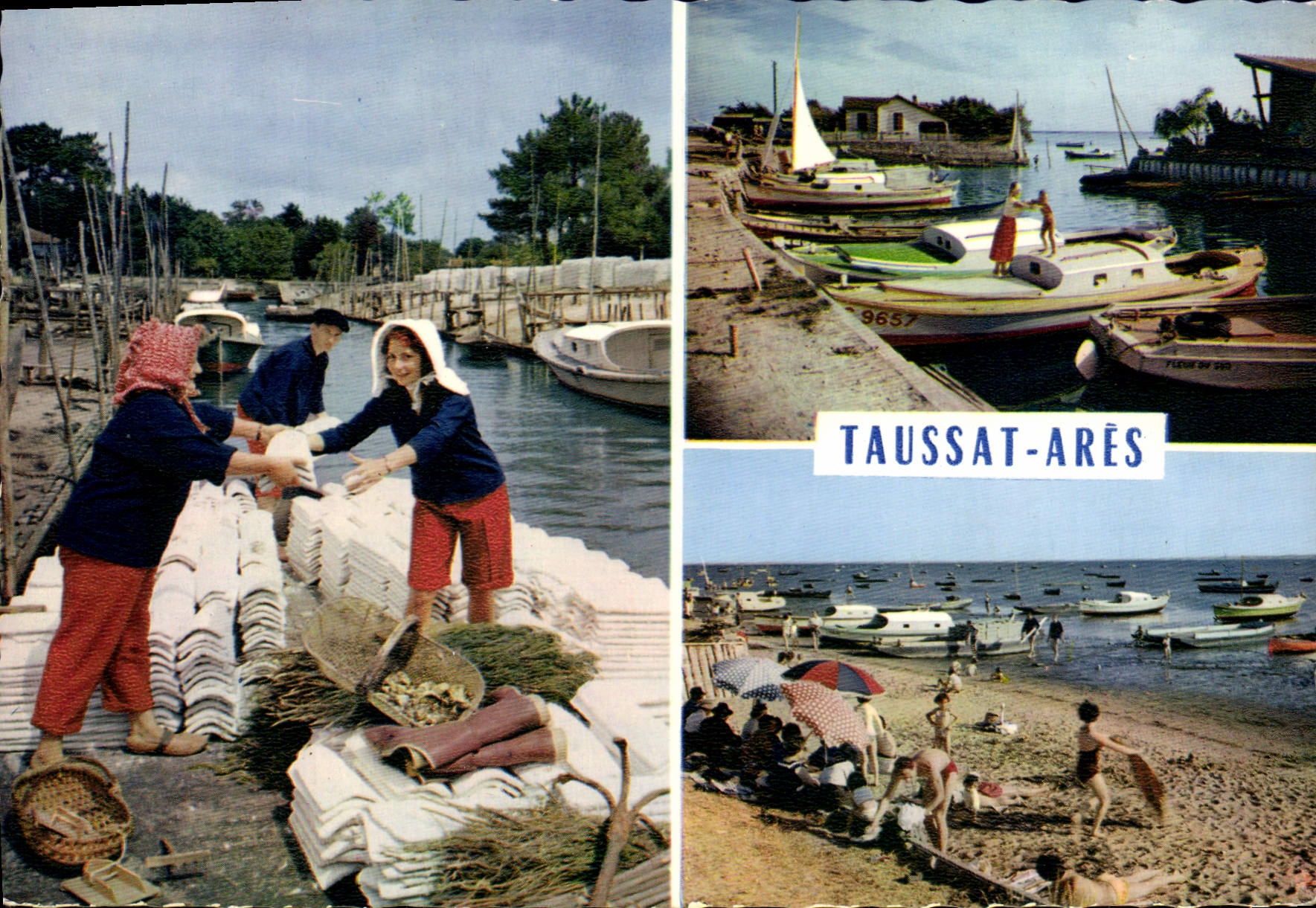 Taussat-Arènes — Muschelszene in Andéennes — Verlag SENEVY n°17