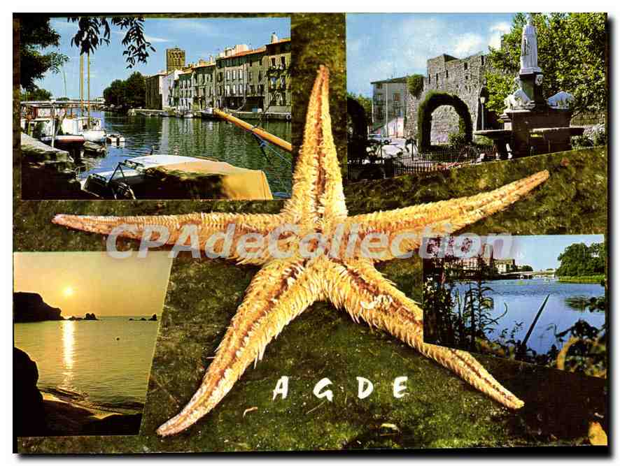 CPSM Agde Les Quais De La Marine Et La Cathedrale St Etienne
