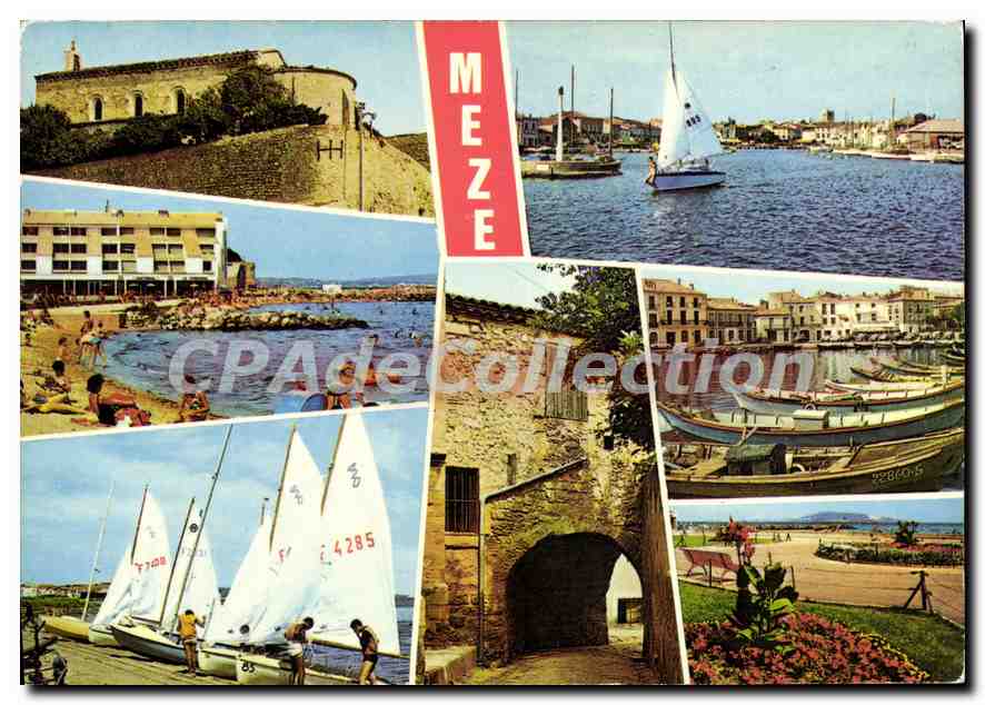 CPSM Meze Sur le Bassin De Thau