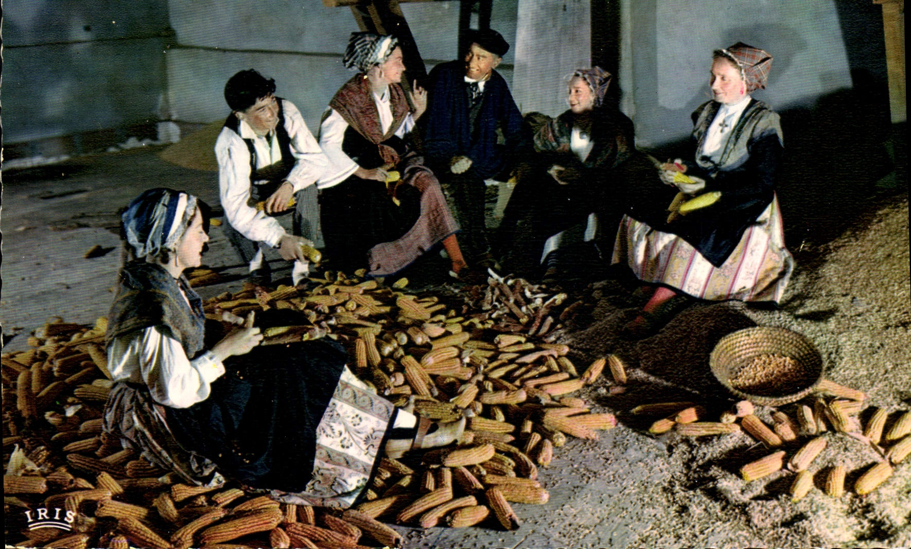 CPSM Folklore En Languedoc La Bonne Histoire maïs TERRO MOUNDINO