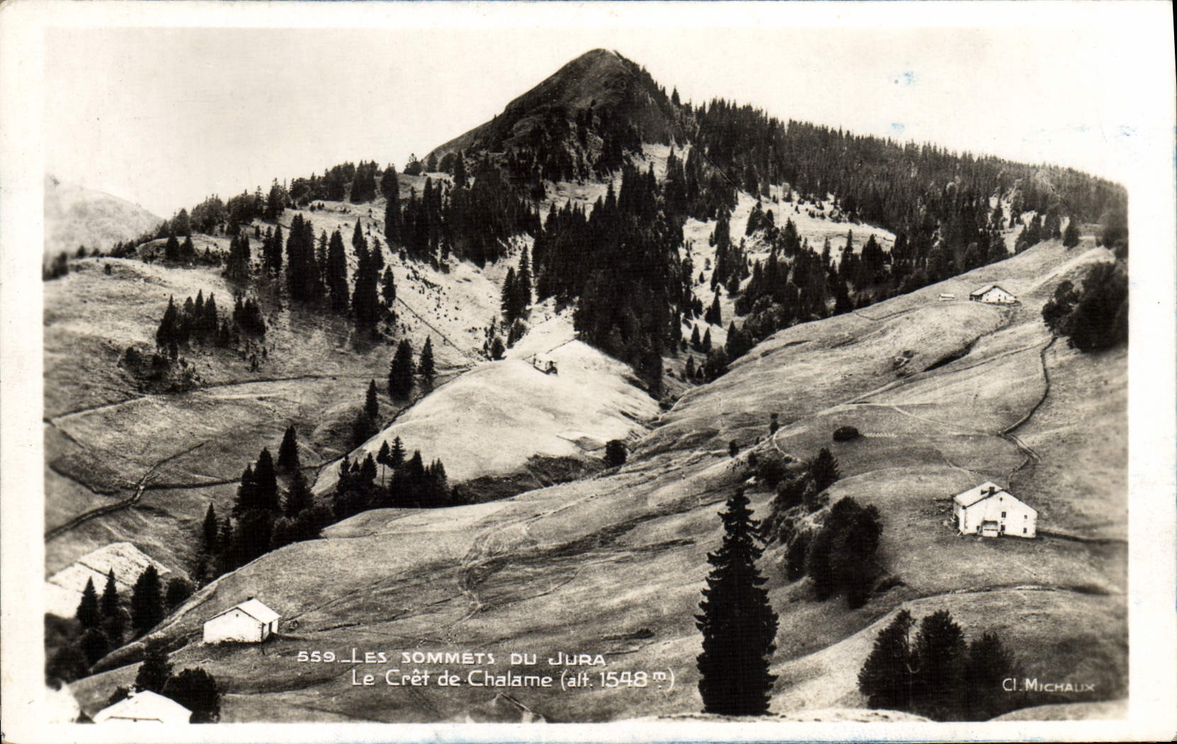 Le Crêt de Chalame (alt. 1548 m) — Les Sommets du Jura — Cl. Michaux, n° 559
