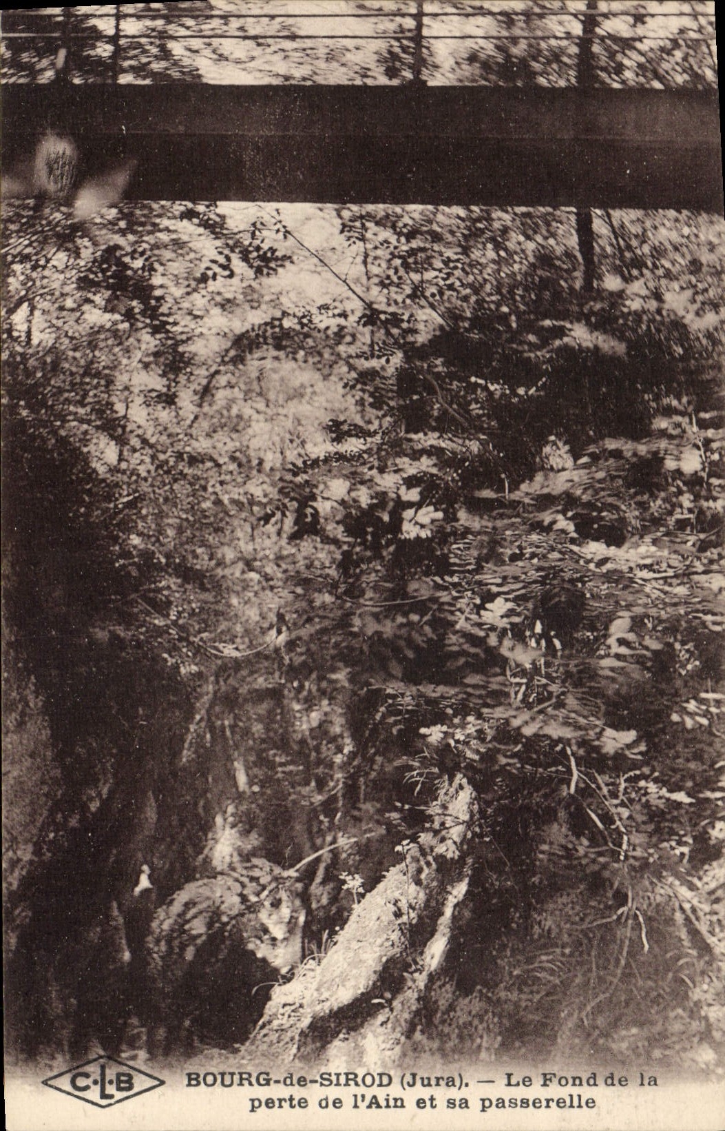 Bourg-de-Sirod (Jura) — Le Fond de l'Ain et sa passerelle — C.L.B