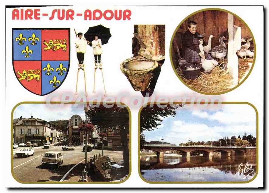 CPSM Aire Sur Adour Capitale Du Foie Gras