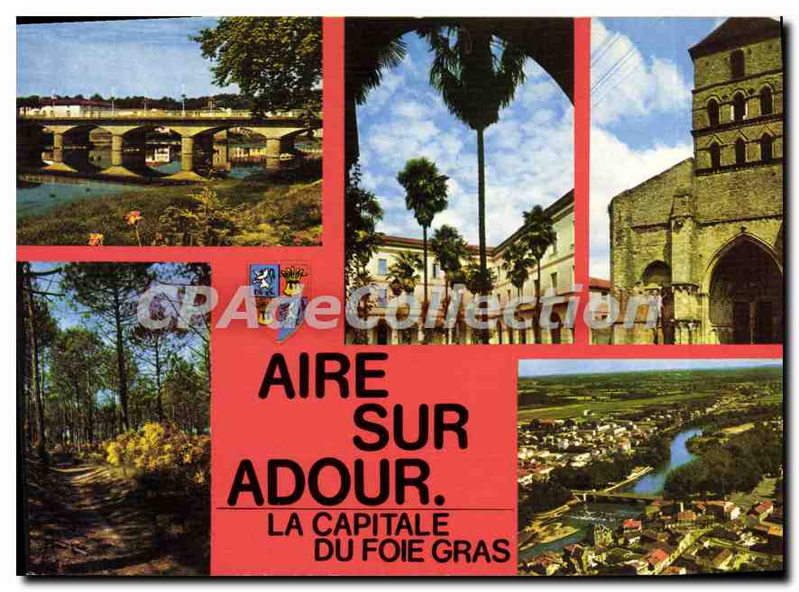CPSM Aire Sur Adour Le Pont église