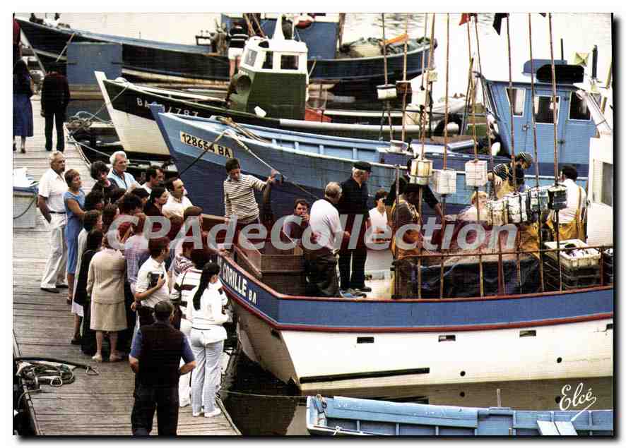 Capbreton - Port de Pêche — Éditeur Elcé, n° 6050