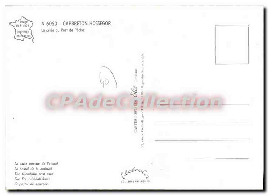 Capbreton - Port de Pêche — Éditeur Elcé, n° 6050 — Reverso
