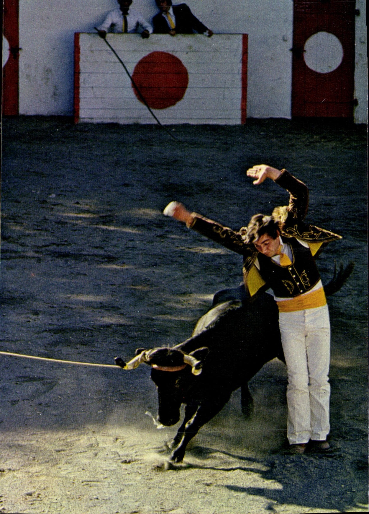 CPSM Dax Folklore Landais Course De Vaches Landaises