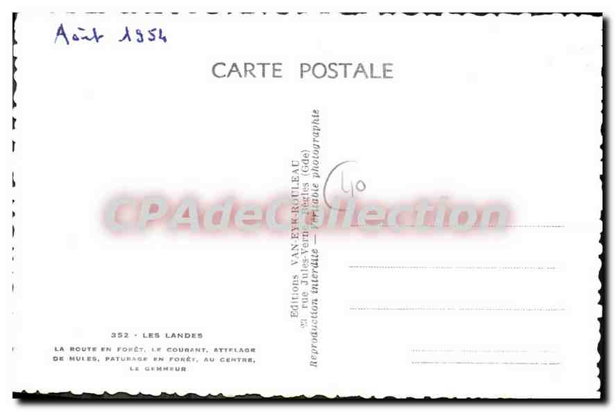 CPA Landes La Route En Foret Le Courant — Verso