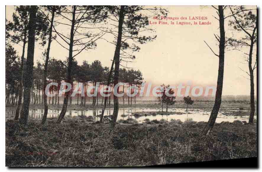 Les Pins, la Lagune, la Lande — Paysages des LANDES — éditeur non identifié, n° de série 88