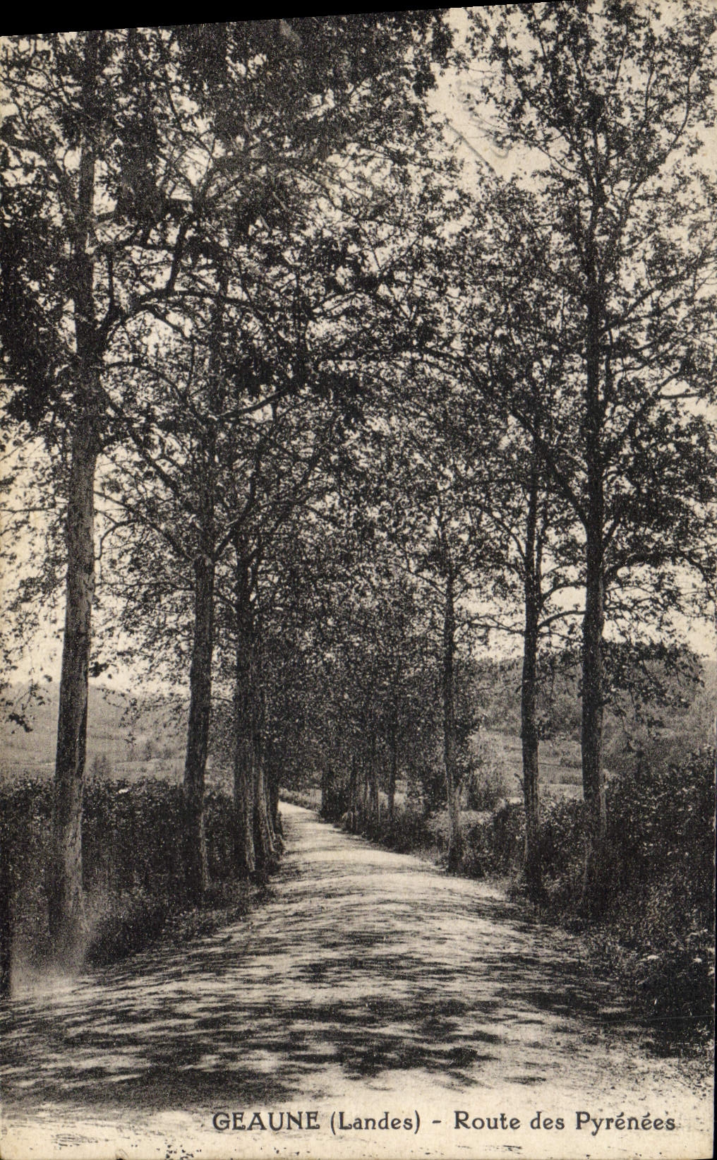 Géaune (Landes) - Route des Pyrénées