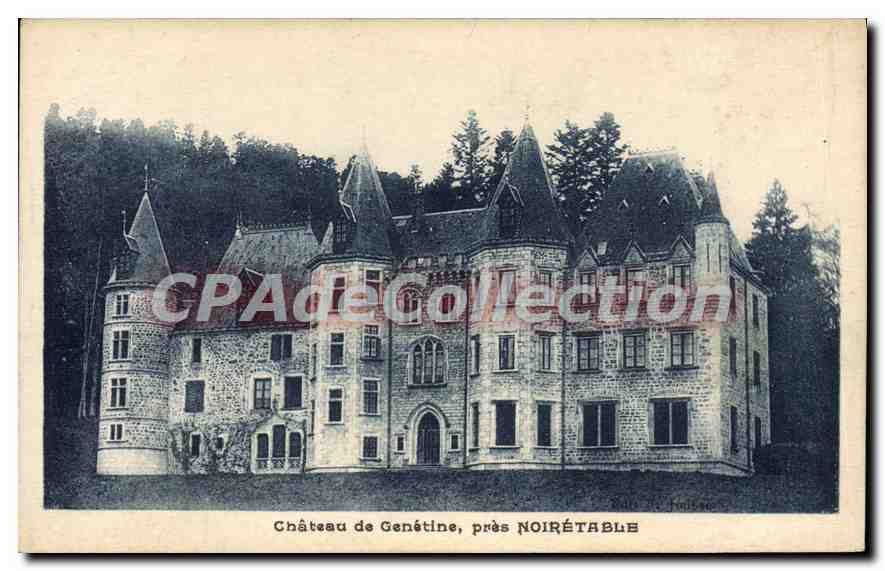 CPA Chateau de Genetine pres Noiretable
