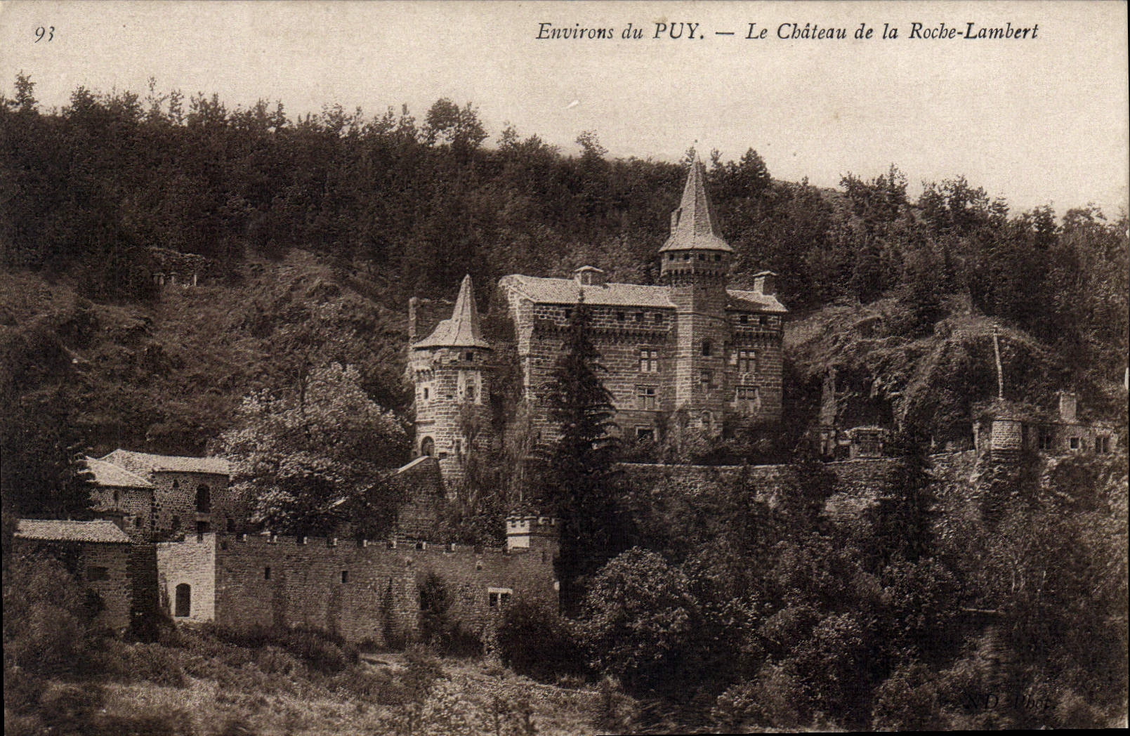 CPA Environs du Puy Le Chateau de la Roche Lambert