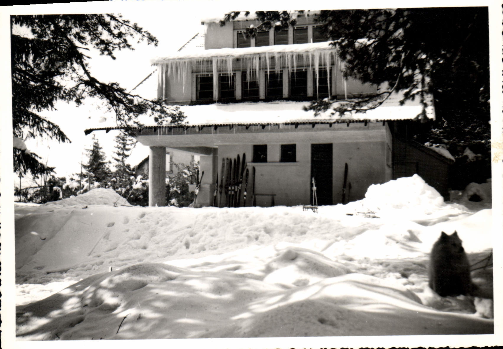CPSM Le Chambon sur Lignon Paysage de Neige